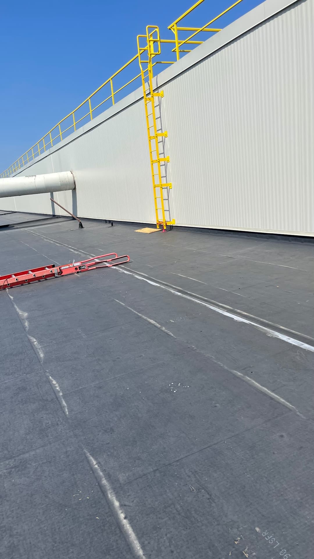 Completed EPDM commercial flat roof with yellow safety ladder and roof access penetrations